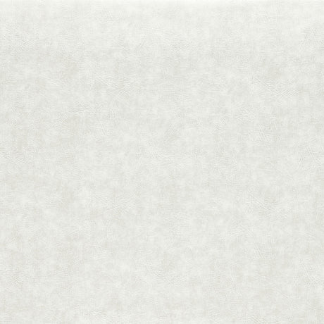 CLARKE AND CLARKE F1598/13.CAC.0 DAWSON PEARL Fabric - Eade's Wallpaper