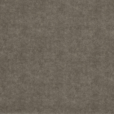 CLARKE AND CLARKE F1598/14.CAC.0 DAWSON PEWTER Fabric - Eade's Wallpaper