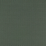 CLARKE AND CLARKE F1618/01.CAC.0 EQUATOR FOREST Fabric - Eade's Wallpaper