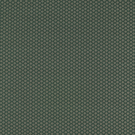 CLARKE AND CLARKE F1618/01.CAC.0 EQUATOR FOREST Fabric - Eade's Wallpaper