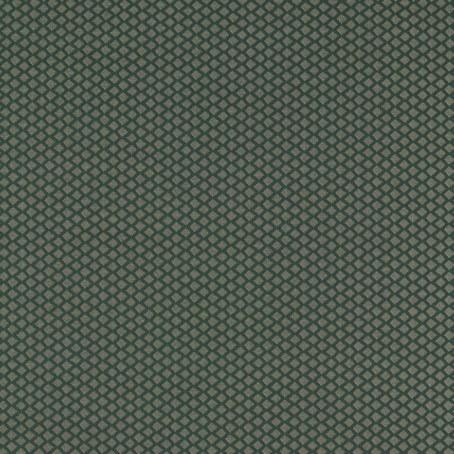 CLARKE AND CLARKE F1618/01.CAC.0 EQUATOR FOREST Fabric - Eade's Wallpaper