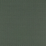 CLARKE AND CLARKE F1618/01.CAC.0 EQUATOR FOREST Fabric - Eade's Wallpaper