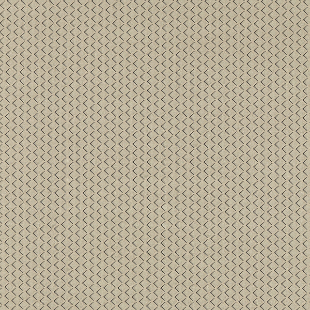 CLARKE AND CLARKE F1618/03.CAC.0 EQUATOR NATURAL Fabric - Eade's Wallpaper