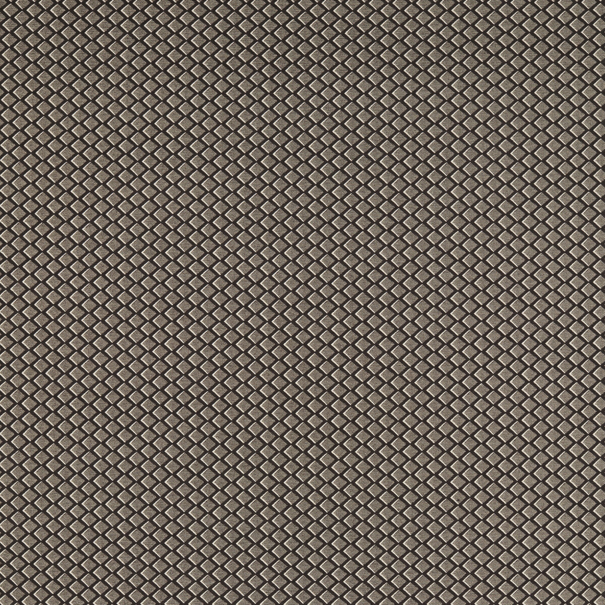 CLARKE AND CLARKE F1618/04.CAC.0 EQUATOR NOIR Fabric - Eade's Wallpaper