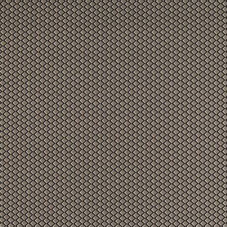 CLARKE AND CLARKE F1618/04.CAC.0 EQUATOR NOIR Fabric - Eade's Wallpaper