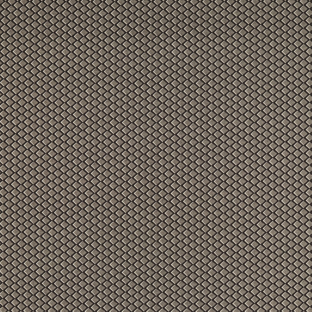 CLARKE AND CLARKE F1618/04.CAC.0 EQUATOR NOIR Fabric - Eade's Wallpaper