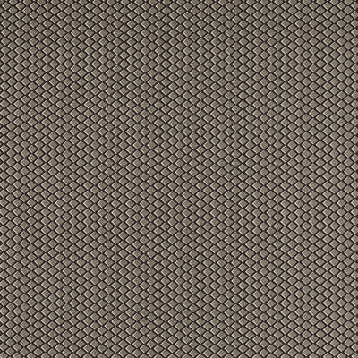 CLARKE AND CLARKE F1618/04.CAC.0 EQUATOR NOIR Fabric - Eade's Wallpaper