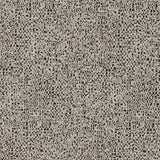 CLARKE AND CLARKE F1619/04.CAC.0 ORION NOIR Fabric - Eade's Wallpaper