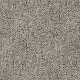 CLARKE AND CLARKE F1619/04.CAC.0 ORION NOIR Fabric - Eade's Wallpaper