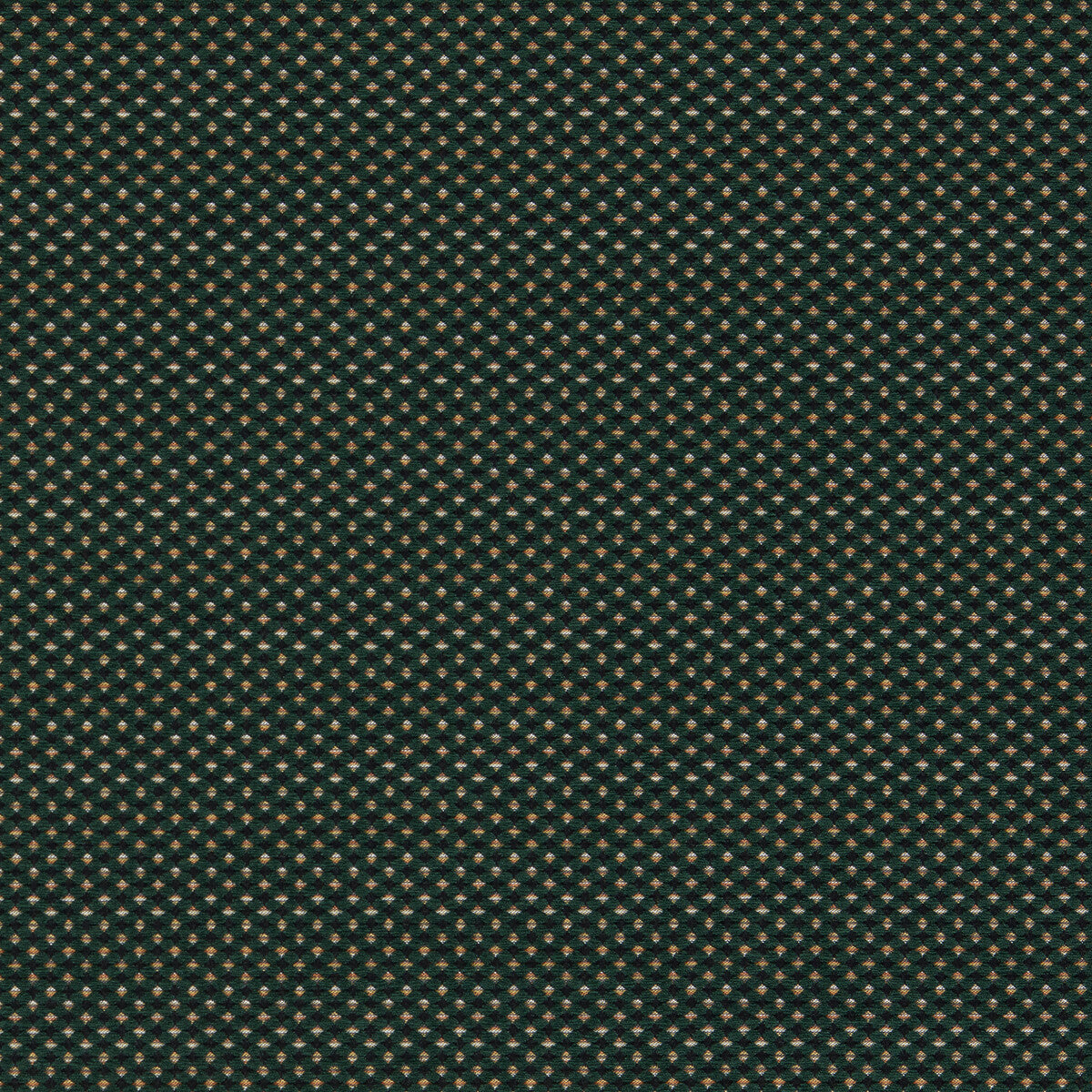 CLARKE AND CLARKE F1620/02.CAC.0 PAVO FOREST Fabric - Eade's Wallpaper