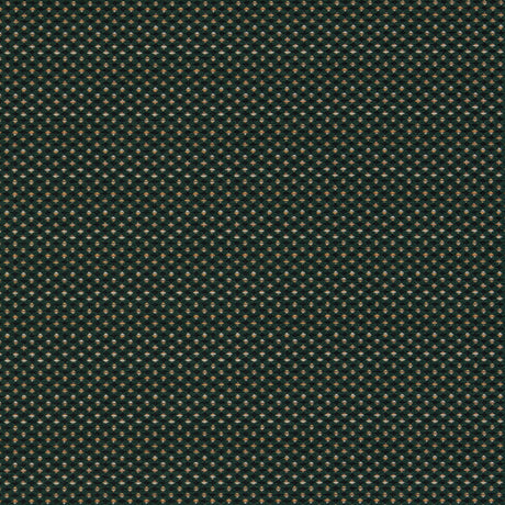CLARKE AND CLARKE F1620/02.CAC.0 PAVO FOREST Fabric - Eade's Wallpaper