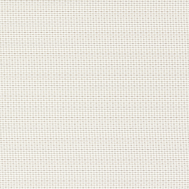 CLARKE AND CLARKE F1620/05.CAC.0 PAVO NATURAL Fabric - Eade's Wallpaper