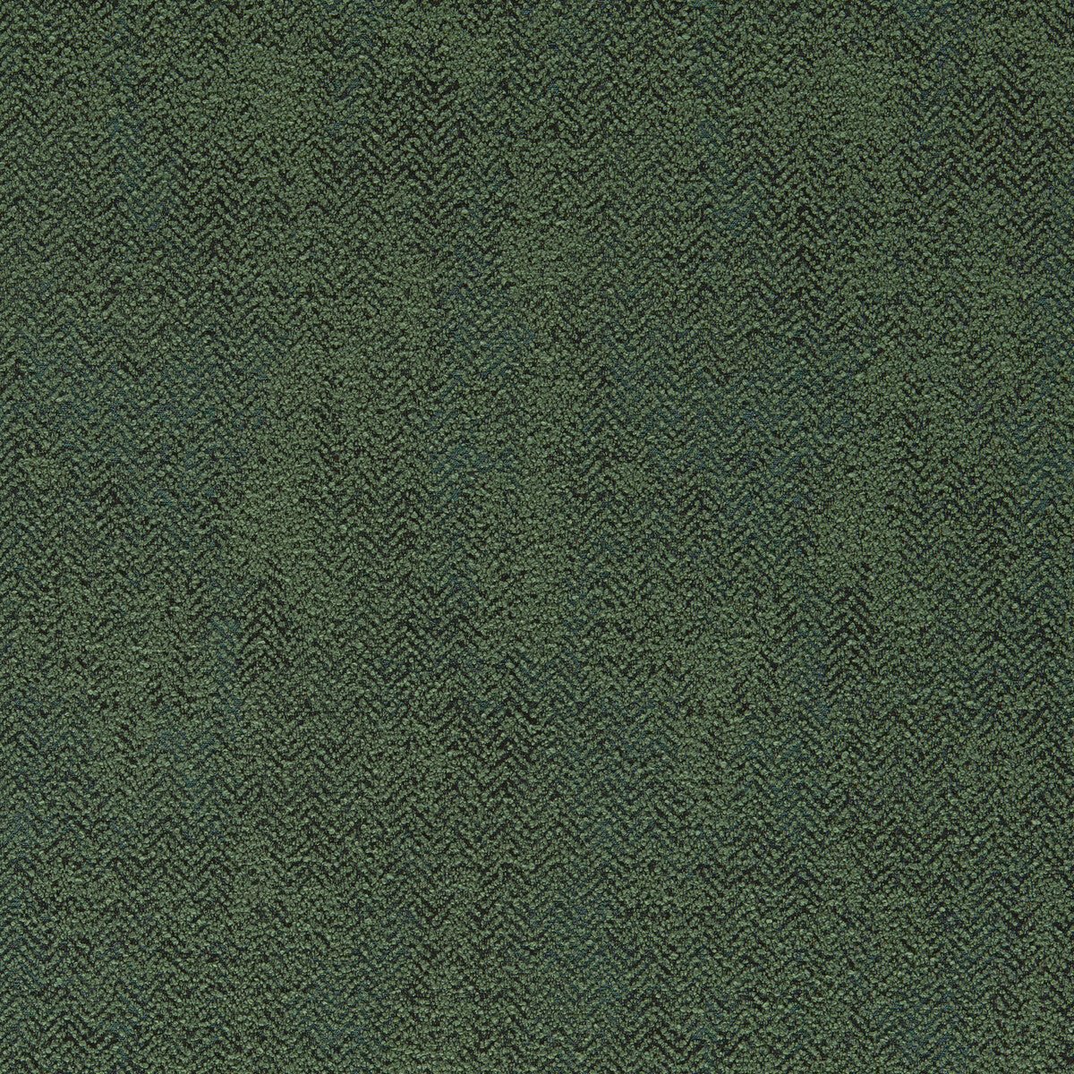 CLARKE AND CLARKE F1629/03.CAC.0 BJORN MOSS Fabric - Eade's Wallpaper