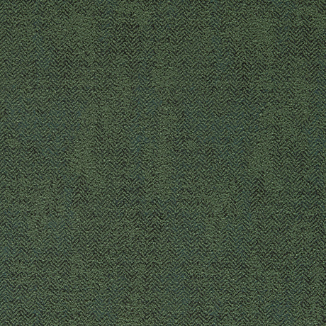 CLARKE AND CLARKE F1629/03.CAC.0 BJORN MOSS Fabric - Eade's Wallpaper