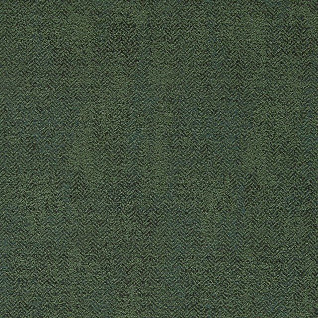 CLARKE AND CLARKE F1629/03.CAC.0 BJORN MOSS Fabric - Eade's Wallpaper