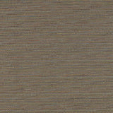 CLARKE AND CLARKE F1633/02.CAC.0 LOKI CHARCOAL/MULTI Fabric - Eade's Wallpaper