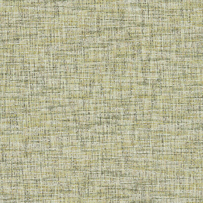 CLARKE AND CLARKE F1642/17.CAC.0 CETARA SPRING Fabric - Eade's Wallpaper