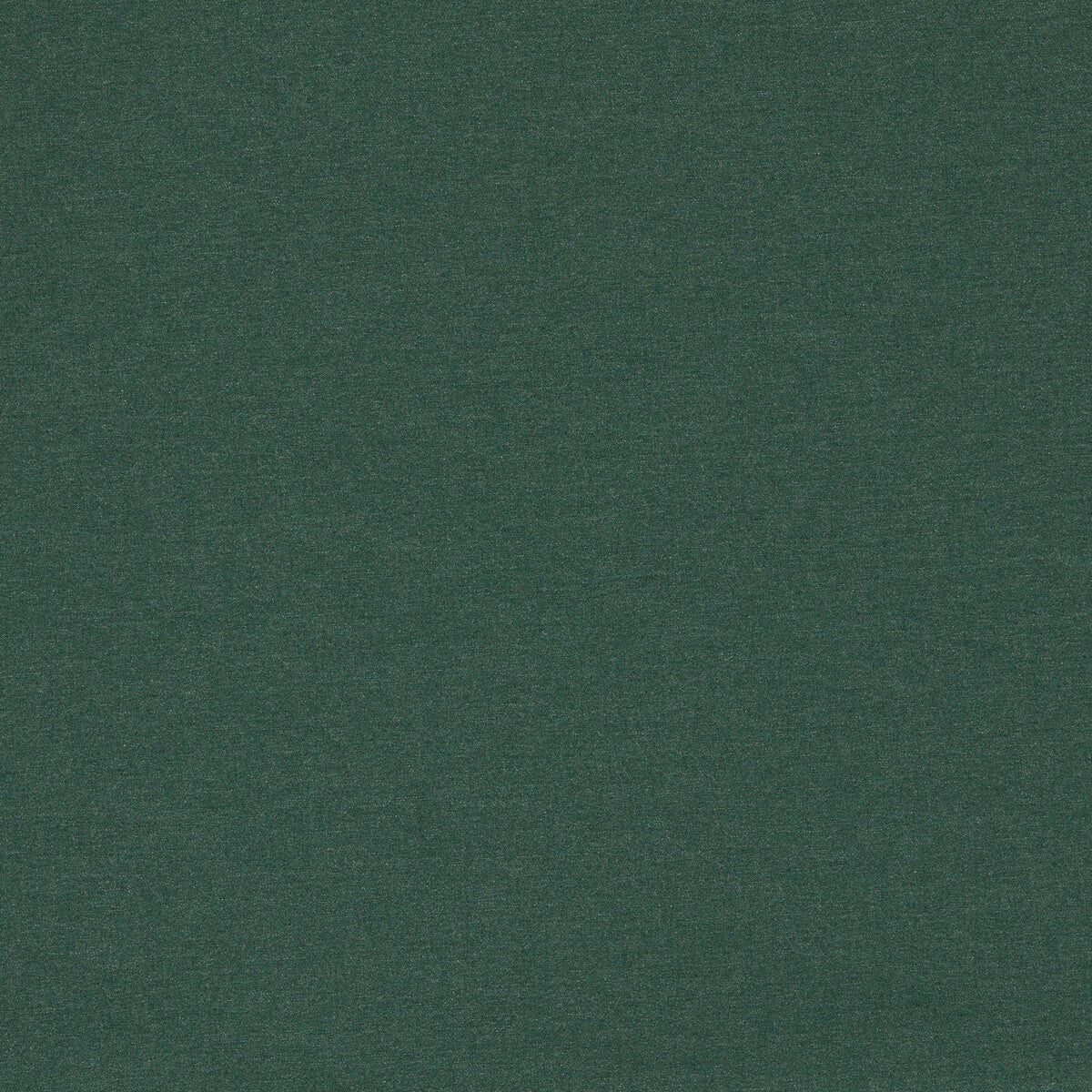 CLARKE AND CLARKE F1669/02.CAC.0 LUGO FOREST Fabric - Eade's Wallpaper