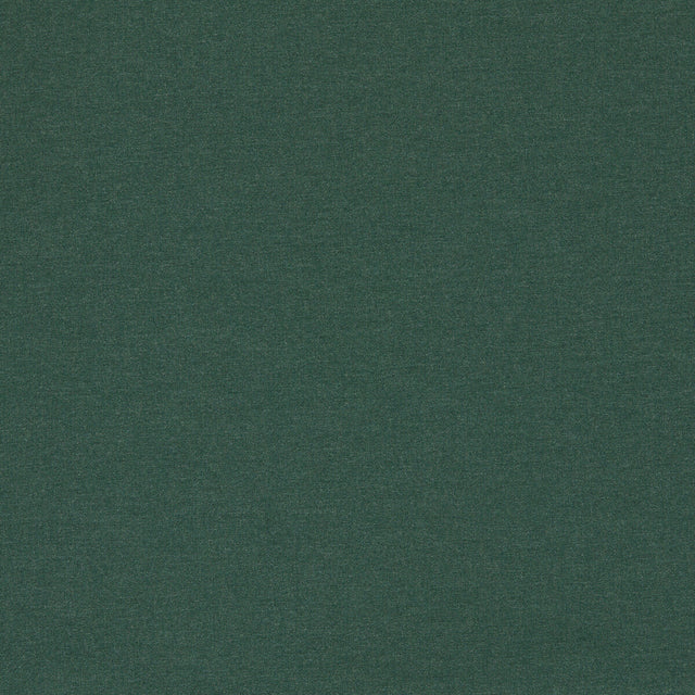 CLARKE AND CLARKE F1669/02.CAC.0 LUGO FOREST Fabric - Eade's Wallpaper