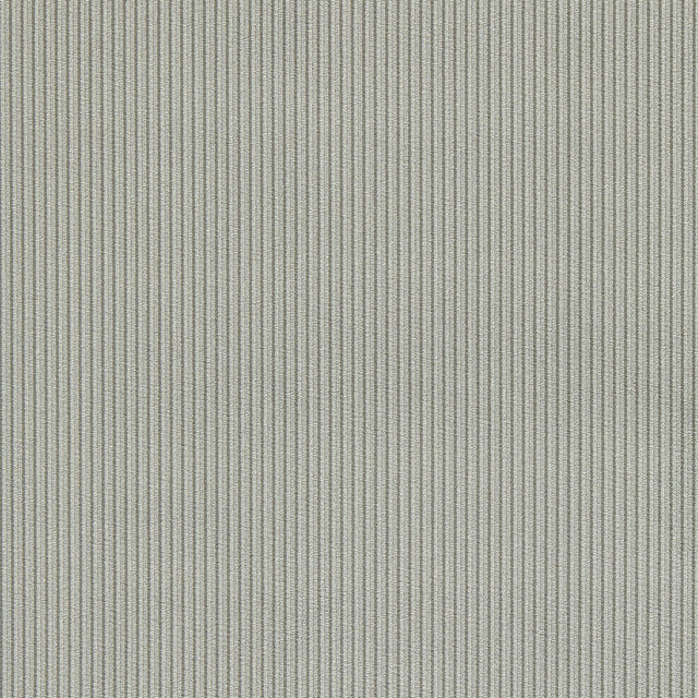 CLARKE AND CLARKE F1688/04.CAC.0 ASHDOWN GRAPHITE Fabric - Eade's Wallpaper
