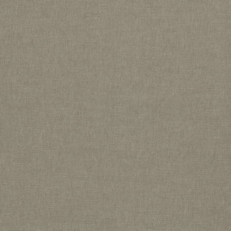 CLARKE AND CLARKE F1707/01.CAC.0 PARADISO ASH Fabric - Eade's Wallpaper