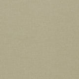 CLARKE AND CLARKE F1707/18.CAC.0 PARADISO OATMEAL Fabric - Eade's Wallpaper
