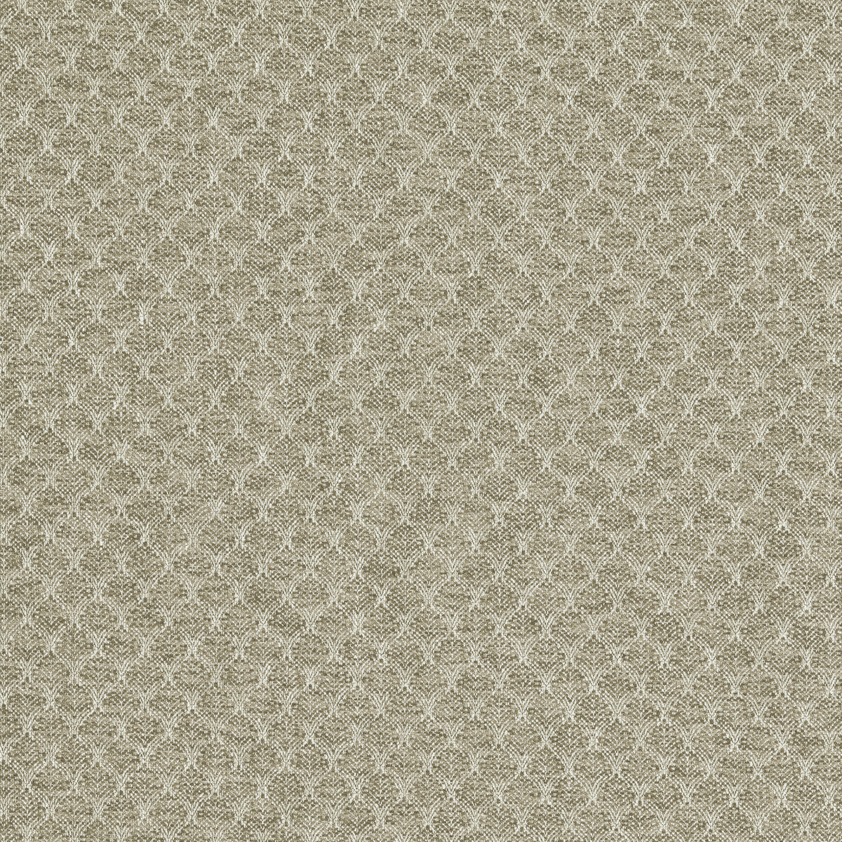CLARKE AND CLARKE F1724/03.CAC.0 TRELICA NATURAL Fabric - Eade's Wallpaper