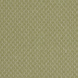 CLARKE AND CLARKE F1724/04.CAC.0 TRELICA OLIVE Fabric - Eade's Wallpaper