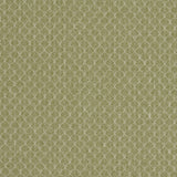 CLARKE AND CLARKE F1724/04.CAC.0 TRELICA OLIVE Fabric - Eade's Wallpaper