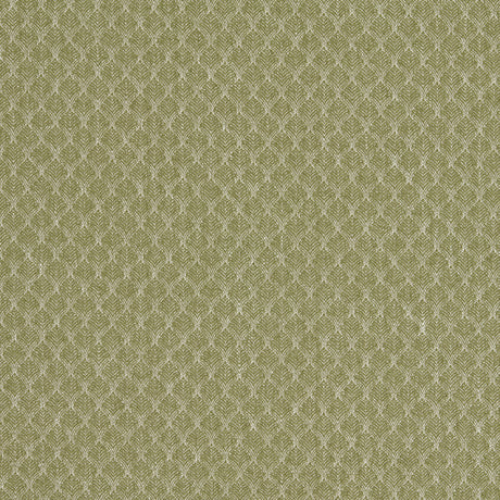 CLARKE AND CLARKE F1724/04.CAC.0 TRELICA OLIVE Fabric - Eade's Wallpaper