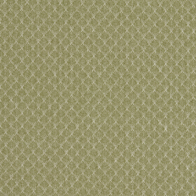 CLARKE AND CLARKE F1724/04.CAC.0 TRELICA OLIVE Fabric - Eade's Wallpaper