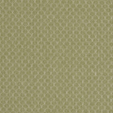 CLARKE AND CLARKE F1724/04.CAC.0 TRELICA OLIVE Fabric - Eade's Wallpaper