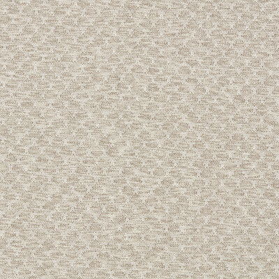 CLARKE AND CLARKE F1724/05.CAC.0 TRELICA PEBBLE Fabric - Eade's Wallpaper