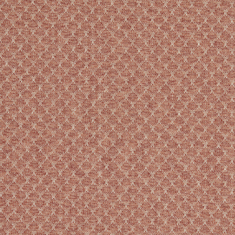 CLARKE AND CLARKE F1724/06.CAC.0 TRELICA SPICE Fabric - Eade's Wallpaper