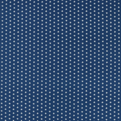 CLARKE AND CLARKE F1730/04.CAC.0 SEASTAR NAVY Fabric - Eade's Wallpaper