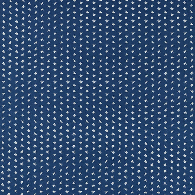 CLARKE AND CLARKE F1730/04.CAC.0 SEASTAR NAVY Fabric - Eade's Wallpaper