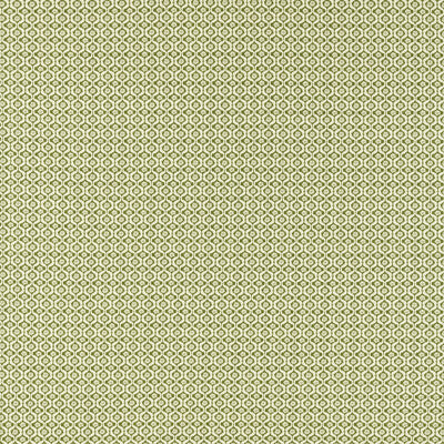 CLARKE AND CLARKE F1735/05.CAC.0 GIVERNY SAGE Fabric - Eade's Wallpaper