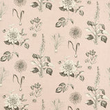 CLARKE AND CLARKE F1738/01.CAC.0 ROSERAIE BLUSH Fabric - Eade's Wallpaper