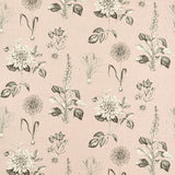 CLARKE AND CLARKE F1738/01.CAC.0 ROSERAIE BLUSH Fabric - Eade's Wallpaper