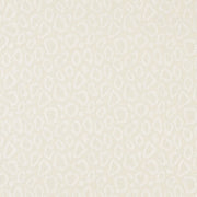 CLARKE AND CLARKE ORTEGA F1776/02.CAC.0 in IVORY Fabric - CL