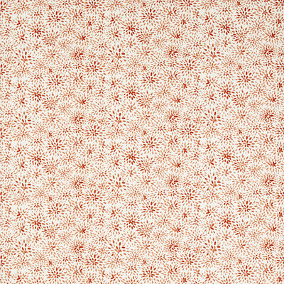 CLARKE AND CLARKE CARA F1779/04.CAC.0 in SPICE Wallpaper - C