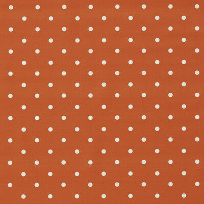 CLARKE AND CLARKE DOTTY F1781/04.CAC.0 in SUNSET Wallpaper -