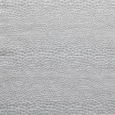 CLARKE AND CLARKE CASTUS F1788/01.CAC.0 in DOVE Fabric - CLA