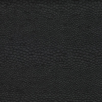 CLARKE AND CLARKE CASTUS F1788/02.CAC.0 in EBONY Fabric - CL