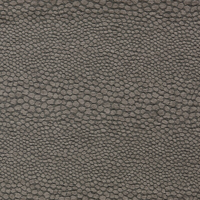 CLARKE AND CLARKE CASTUS F1788/03.CAC.0 in ESPRESSO Fabric -