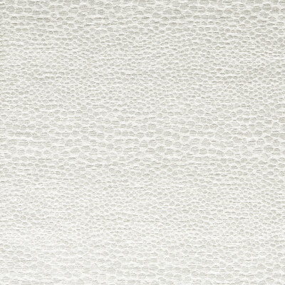 CLARKE AND CLARKE CASTUS F1788/04.CAC.0 in IVORY Fabric - CL