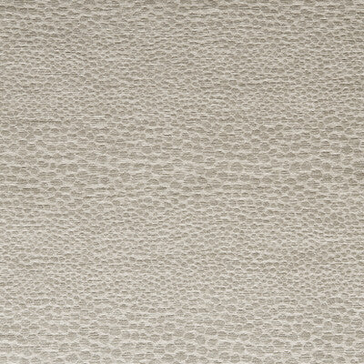 CLARKE AND CLARKE CASTUS F1788/05.CAC.0 in LINEN Fabric - CL