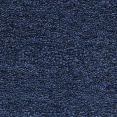 CLARKE AND CLARKE CASTUS F1788/06.CAC.0 in MIDNIGHT Fabric -