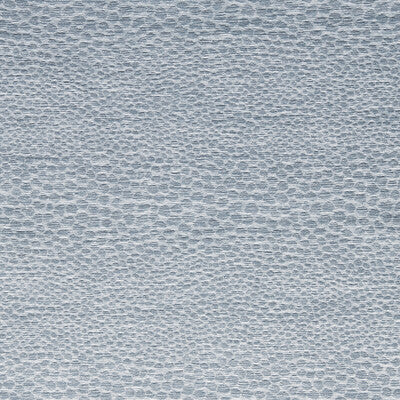 CLARKE AND CLARKE CASTUS F1788/07.CAC.0 in MINERAL Fabric - 