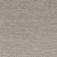 CLARKE AND CLARKE CASTUS F1788/08.CAC.0 in MINK Fabric - CLA